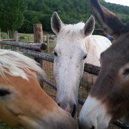 Il Giardinaccio 3* LʼAquila
