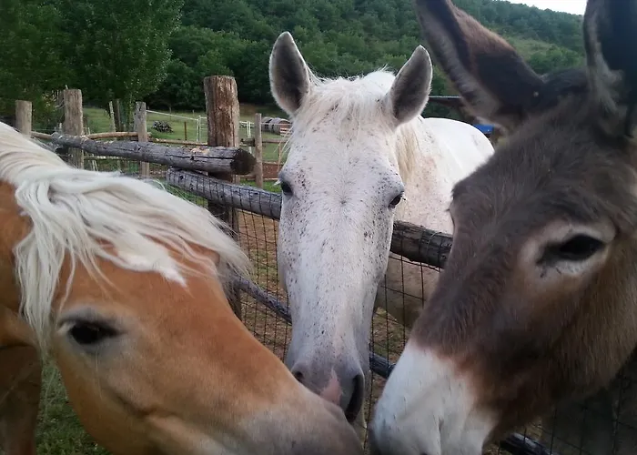 Il Giardinaccio 3* LʼAquila